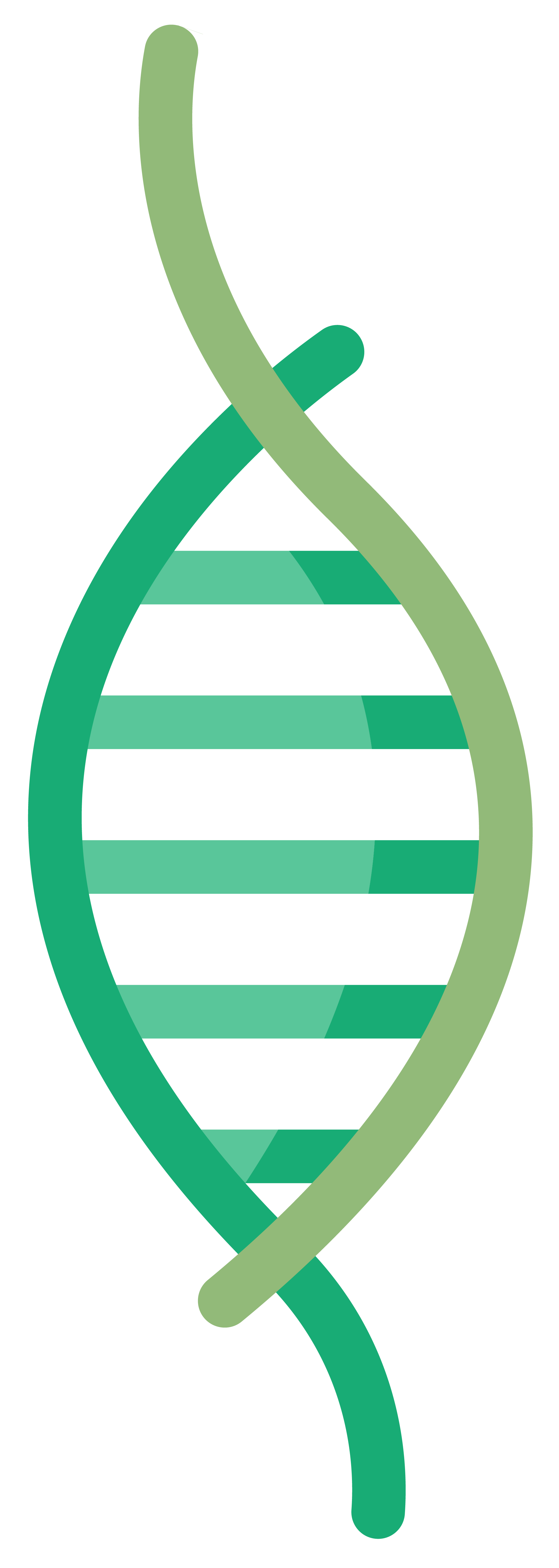 chrysalusicon